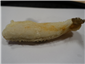 kiss fish tempura